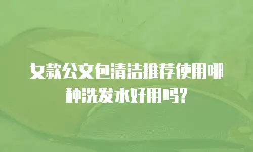 女款公文包清洁推荐使用哪种洗发水好用吗?