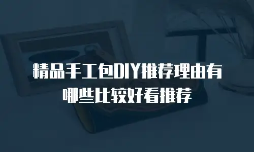 精品手工包DIY推荐理由有哪些比较好看推荐