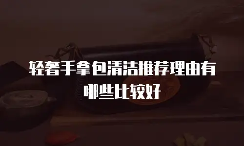 轻奢手拿包清洁推荐理由有哪些比较好