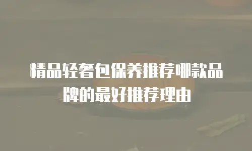 精品轻奢包保养推荐哪款品牌的最好推荐理由