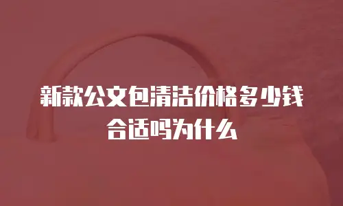 新款公文包清洁价格多少钱合适吗为什么