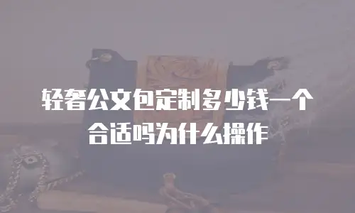 轻奢公文包定制多少钱一个合适吗为什么操作