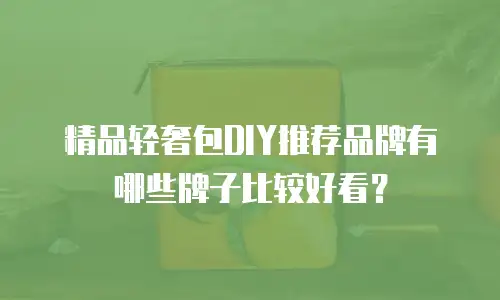 精品轻奢包DIY推荐品牌有哪些牌子比较好看？