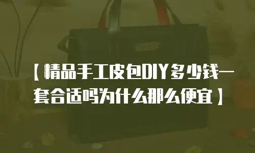 【精品手工皮包DIY多少钱一套合适吗为什么那么便宜】