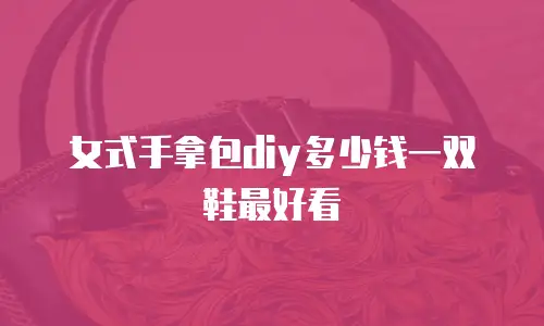 女式手拿包diy多少钱一双鞋最好看