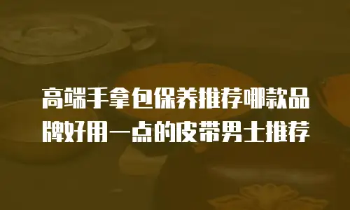 高端手拿包保养推荐哪款品牌好用一点的皮带男士推荐