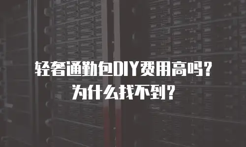 轻奢通勤包DIY费用高吗？为什么找不到？