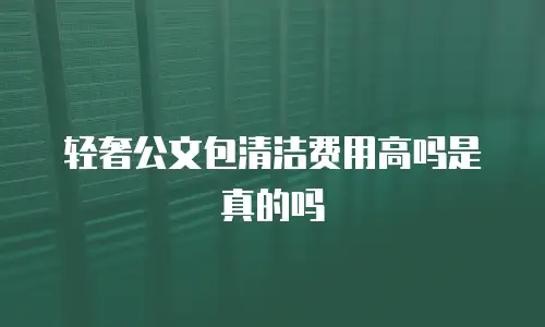 轻奢公文包清洁费用高吗是真的吗