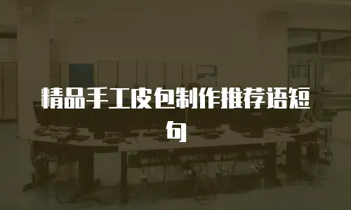 精品手工皮包制作推荐语短句