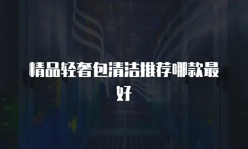 精品轻奢包清洁推荐哪款最好