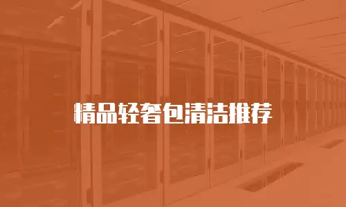 精品轻奢包清洁推荐
