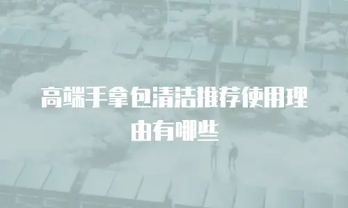 高端手拿包清洁推荐使用理由有哪些