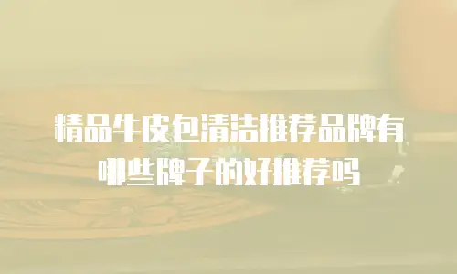 精品牛皮包清洁推荐品牌有哪些牌子的好推荐吗