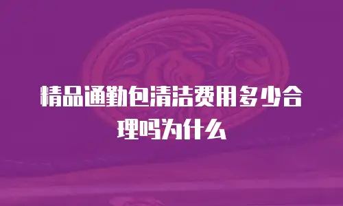 精品通勤包清洁费用多少合理吗为什么