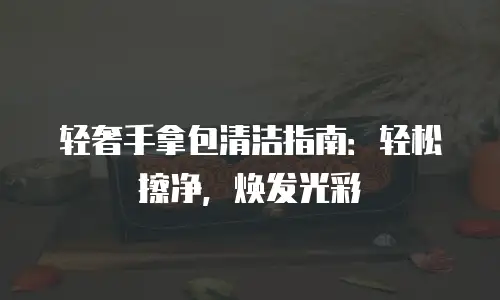 轻奢手拿包清洁指南：轻松擦净，焕发光彩