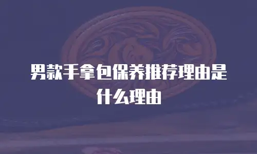 男款手拿包保养推荐理由是什么理由
