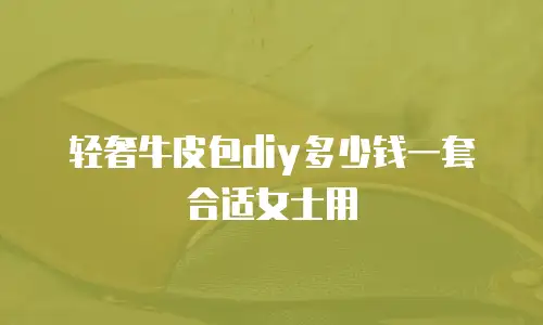 轻奢牛皮包diy多少钱一套合适女士用