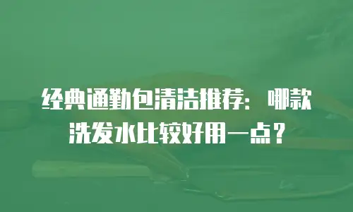 经典通勤包清洁推荐：哪款洗发水比较好用一点？