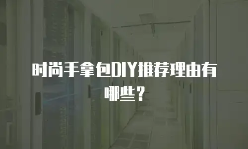 时尚手拿包DIY推荐理由有哪些？