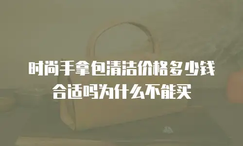 时尚手拿包清洁价格多少钱合适吗为什么不能买