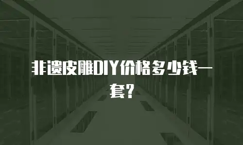 非遗皮雕DIY价格多少钱一套？