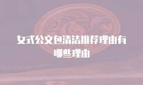 女式公文包清洁推荐理由有哪些理由