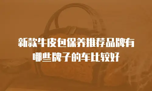 新款牛皮包保养推荐品牌有哪些牌子的车比较好