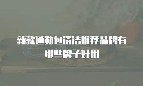新款通勤包清洁推荐品牌有哪些牌子好用