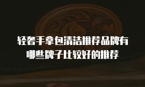 轻奢手拿包清洁推荐品牌有哪些牌子比较好的推荐