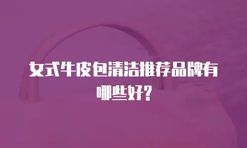女式牛皮包清洁推荐品牌有哪些好?