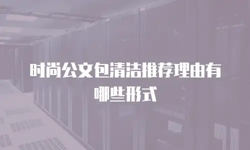 时尚公文包清洁推荐理由有哪些形式