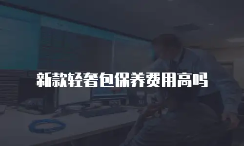 新款轻奢包保养费用高吗