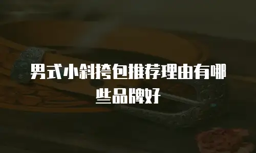 男式小斜挎包推荐理由有哪些品牌好