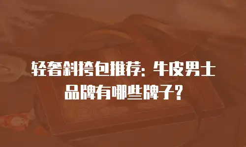 轻奢斜挎包推荐: 牛皮男士品牌有哪些牌子?