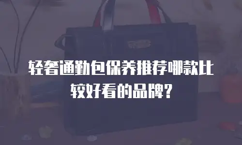 轻奢通勤包保养推荐哪款比较好看的品牌？