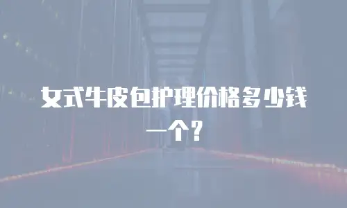 女式牛皮包护理价格多少钱一个？
