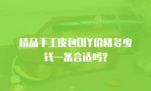 精品手工皮包DIY价格多少钱一条合适吗？