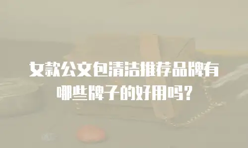 女款公文包清洁推荐品牌有哪些牌子的好用吗？