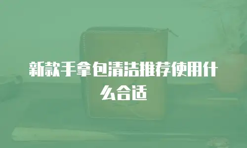 新款手拿包清洁推荐使用什么合适