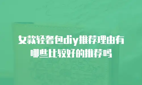 女款轻奢包diy推荐理由有哪些比较好的推荐吗