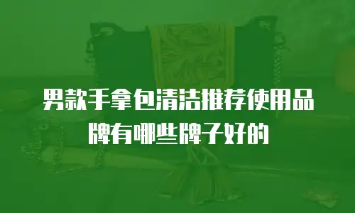 男款手拿包清洁推荐使用品牌有哪些牌子好的