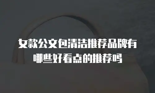 女款公文包清洁推荐品牌有哪些好看点的推荐吗