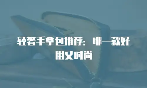 轻奢手拿包推荐：哪一款好用又时尚