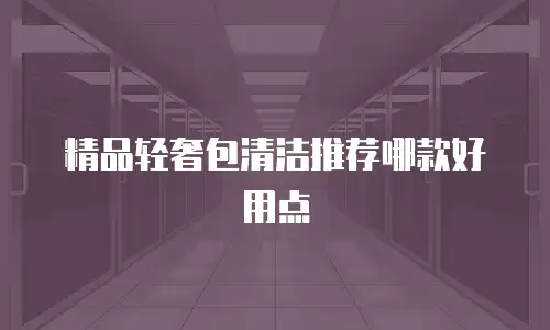 精品轻奢包清洁推荐哪款好用点