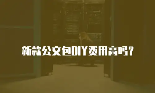 新款公文包DIY费用高吗？