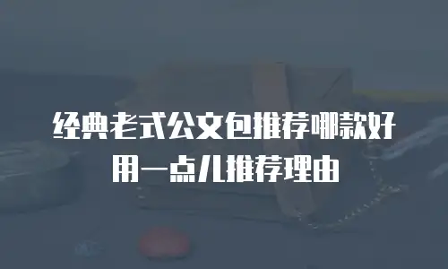 经典老式公文包推荐哪款好用一点儿推荐理由