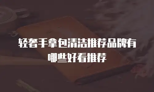 轻奢手拿包清洁推荐品牌有哪些好看推荐