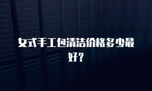 女式手工包清洁价格多少最好？