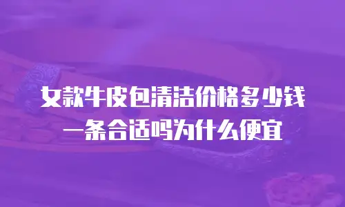 女款牛皮包清洁价格多少钱一条合适吗为什么便宜