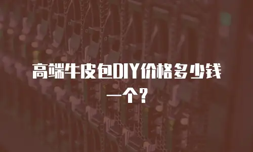 高端牛皮包DIY价格多少钱一个？